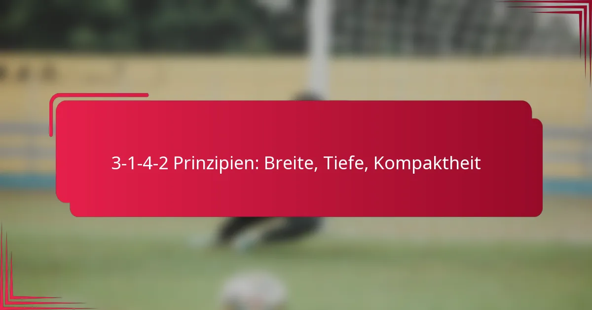 Read more about the article 3-1-4-2 Prinzipien: Breite, Tiefe, Kompaktheit