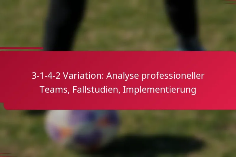 3-1-4-2 Variation: Analyse professioneller Teams, Fallstudien, Implementierung