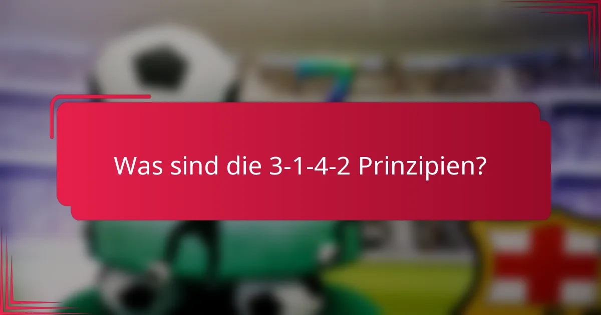 Was sind die 3-1-4-2 Prinzipien?