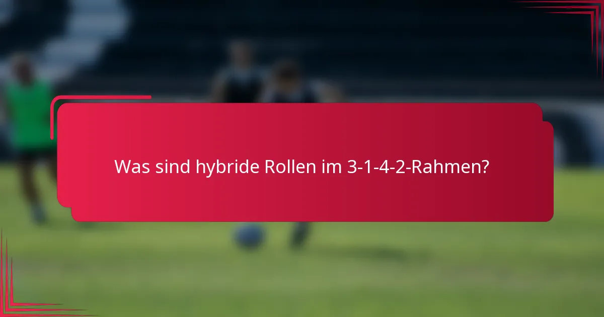 Was sind hybride Rollen im 3-1-4-2-Rahmen?