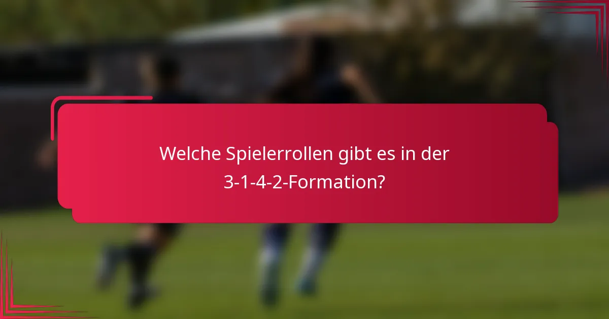 Welche Spielerrollen gibt es in der 3-1-4-2-Formation?