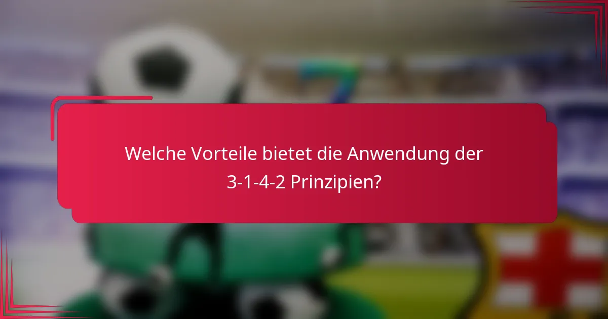 Welche Vorteile bietet die Anwendung der 3-1-4-2 Prinzipien?