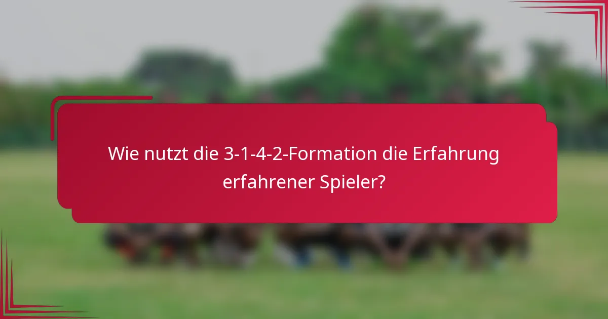 Wie nutzt die 3-1-4-2-Formation die Erfahrung erfahrener Spieler?